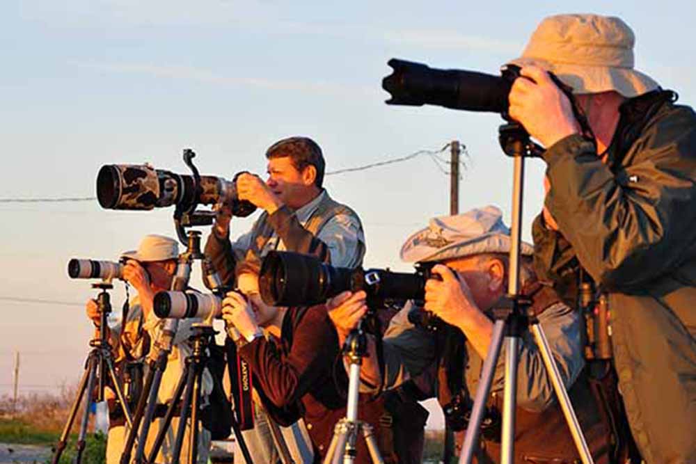 Photographers with penguins in Antarctica