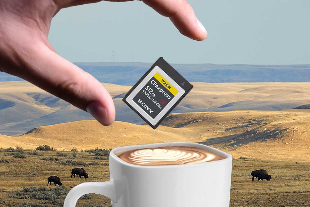 Dropping a camera's memory card into a cup of coffee